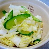 揉んで置くだけ！白菜とキュウリの浅漬け